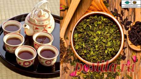 Улун: чай для снижения веса и укрепления иммунитета