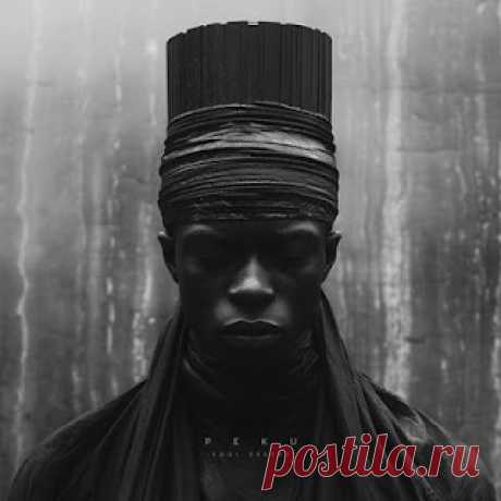 lossless music  : Peku - Soul Seeker