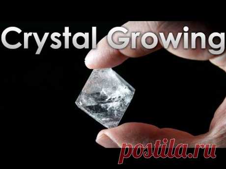 Grow Transparent Single Crystals of Alum salt at Home!