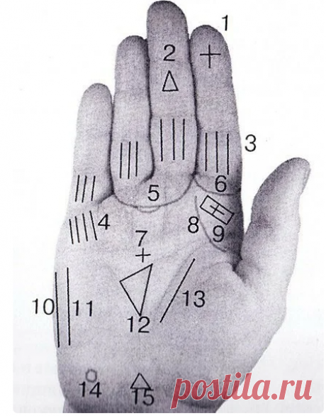 Что говорят о человеке магические знаки на ладони / Мистика