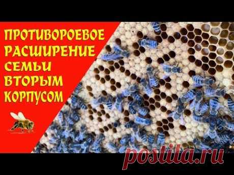 🔴ПРОТИВОРОЕВОЕ РАСШИРЕНИЕ СЕМЬИ ВТОРЫМ КОРПУСОМ НА РАМКУ 300