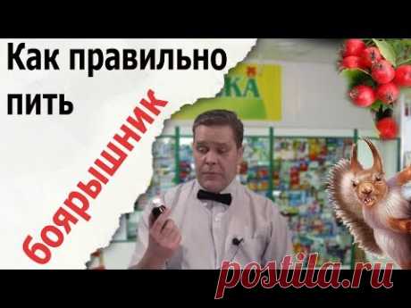 Как правильно пить боярышник