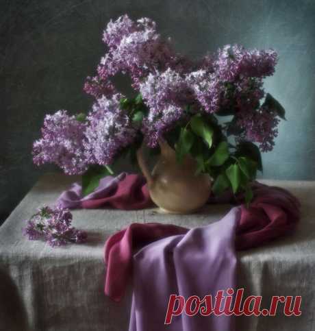 Фотография *** из раздела натюрморт №5784567 - фото.сайт - Photosight.ru