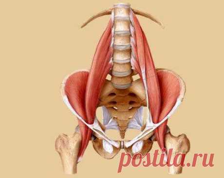 ЛИЗ КОХ: Распускание зажимов поясничной мышцы (PSOAS) Лиз Koх, автор книги о поясничной мышце, объясняет и демонстрирует как привести тело в порядок, используя простой кухонный стул.