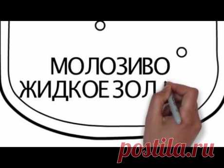 ТРАНСФЕР ФАКТОР. Инструкция по применению, цены и отзывы. Заказать Трансфер фактор 4Life.