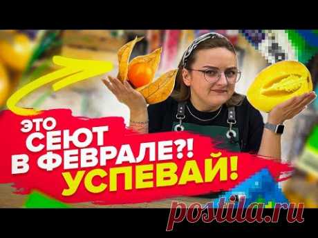 ЧТО СЕЯТЬ В ФЕВРАЛЕ? КОГДА СЕЯТЬ ТОМАТЫ, ПЕРЦЫ, БАКЛАЖАНЫ?