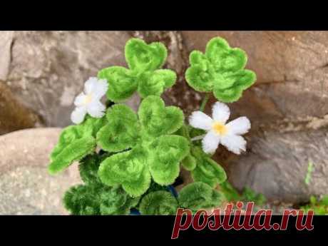 ABC TV | How To Make Clover Tree With Pipe Cleaner - Craft Tutorial