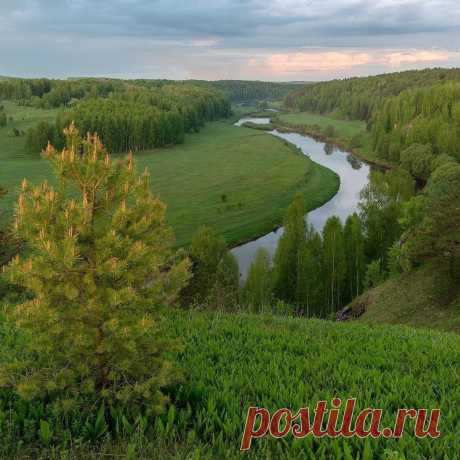 Зелёные берега реки Немда.
Кировская область. 📷 e.karepanov