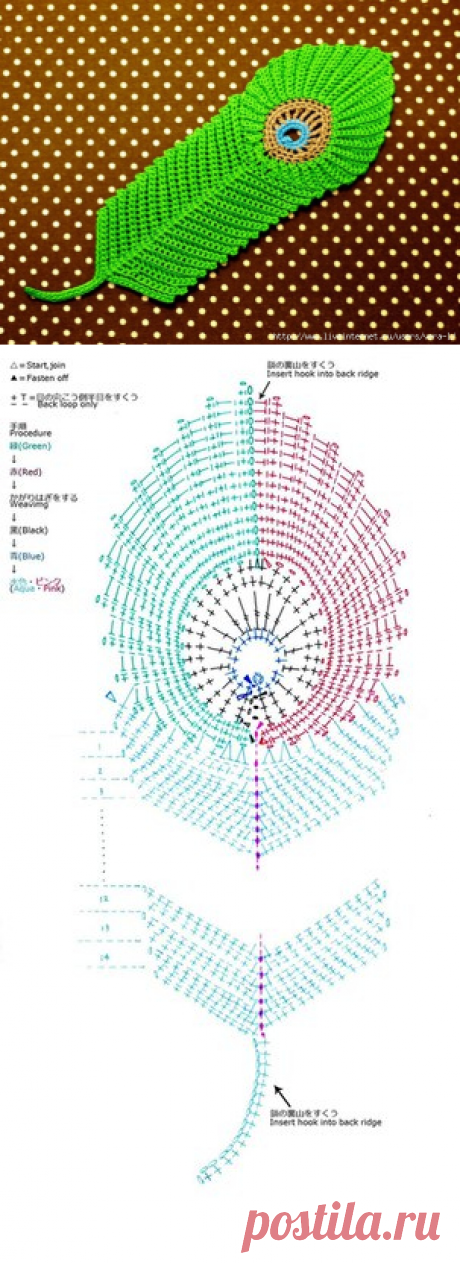 Красивое перо павлина крючком