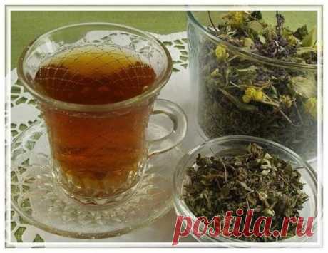 Чай из листьев садовых растений. 
 
Если почаще пить чай из садовых листьев летом и зимой, и затраты на покупку обычного чая снизятся, и чай будет разнообразным, вкусным и полезным. 
Чай из листьев земляники получается с очень приятным ароматом, а главное, очень полезный, так как содержит витамин С, так же как и чай из листьев черной смородины – ароматный и очень вкусный. 
 
Чай из листьев черной смородины полезен при гастрите, простуде. 
 
Чай из листьев березы, ежевики и брусники стимулирует в
