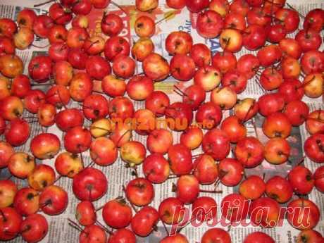 Варенье из райских яблок - простой бабушкин рецепт с секретами варки