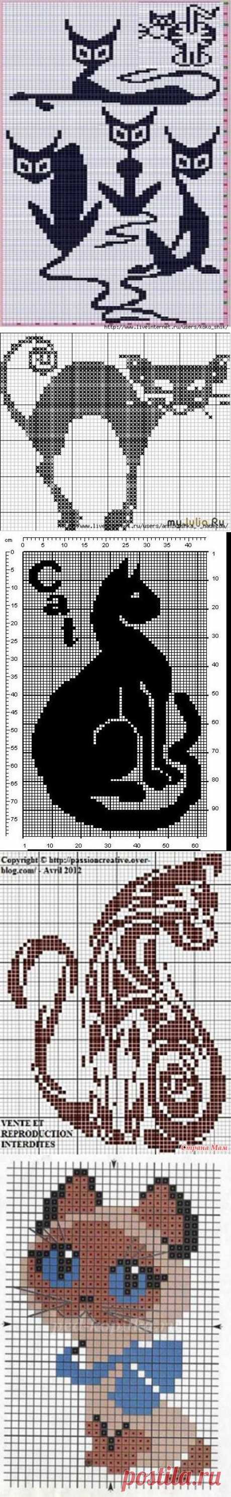 Схемы котов для вязания спицами. Вяжем детям
