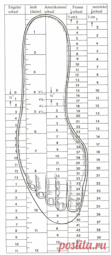 (180) Verschillende maatsystemen in functie van de voetlengte. | shoemaking