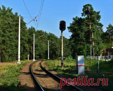 Сестрорецк. Прогулка по одному из самых недооценённых пригородов Петербурга | Индустриальный турист | Яндекс Дзен