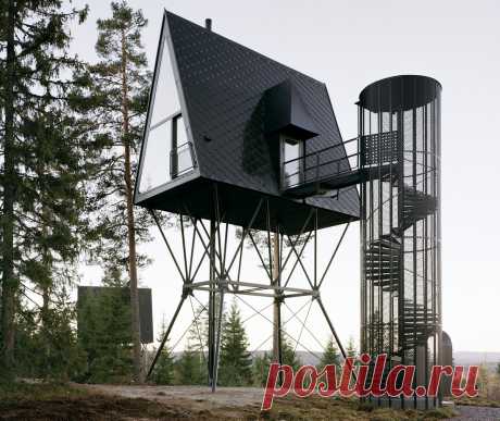 Лесные домики для отдыха в Норвегии . Тут забавно !!!