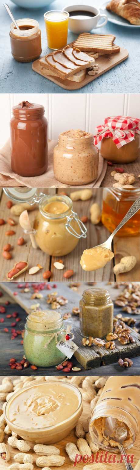 Как приготовить домашнюю ореховую пасту: 5 шагов - KitchenMag.ru