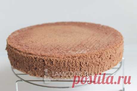 Бисквит «Брошенный» с какао — рецепт с фото пошагово. Как приготовить польский брошенный бисквит с какао?