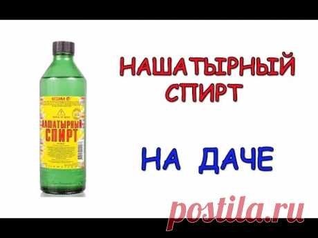 Нашатырный спирт. Применение нашатырного спирта на даче и огороде.