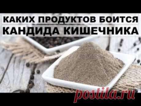 10 ПРОДУКТОВ ДЛЯ БОРЬБЫ С КАНДИДОЙ КИШЕЧНИКА. Питание при кандидозе кишечника