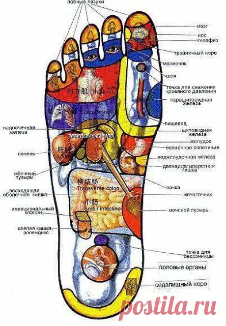 Самомассаж стоп (по точкам). Лечимся без таблеток!