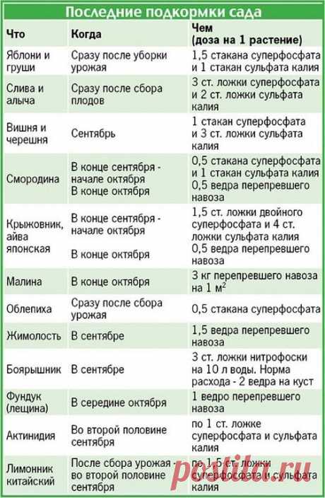 Шпаргалка по подкормке сада после сбора урожая .