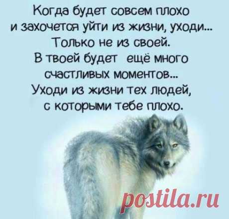 Научитесь оставлять людей в прошлом,просто отпустите,даже если они Вам дороги,любимы.Просто наблюдайте...как они без ваших Душ живут!!!
#elena