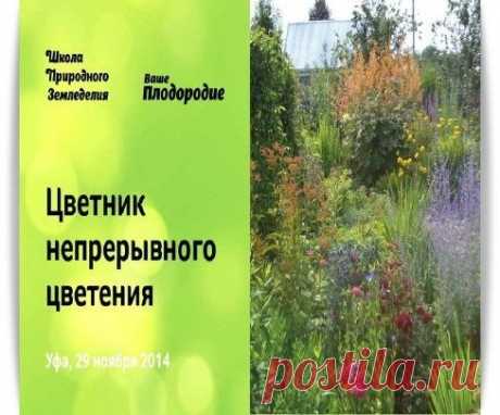 Скачать Цветник непрерывного цветения. Легко и просто бесплатно