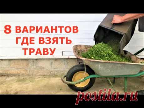 Где взять траву для мульчи, если её нет на участке?