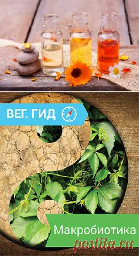 Аюрведа — наука долгой жизни | Vegetarian.ru