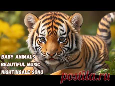 🎶Baby Animals and Beautiful Music: Sweet Symphony of the Nightingale🐣#nature #relax #animals