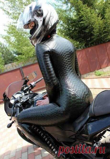 Мотоциклетный костюм под змеиную кожу - Свежачок из социальных сетей!