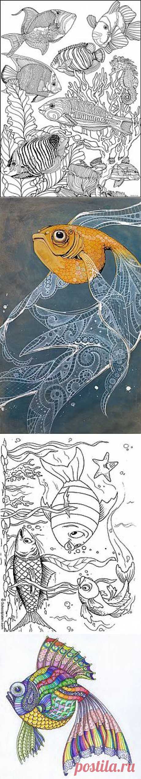 Fish coloring poster | Digi Stamps and Free Printables