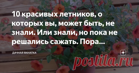 10 красивых летников, о которых вы, может быть, не знали. Или знали, но пока не решались сажать. Пора пробовать Ассортимент летников, выращиваемых обычно дачниками, невелик. Цинии, бархатцы, астры, петунии... В лучшем случае флоксы однолетние, лобелия львиный зев, вербена, некоторые другие.
В то же самое время каждому садоводу-любителю знакома картина: приходишь в магазин семян и глаз не можешь отвести от прилавков с семенами однолетних цветов. Сейчас их видов и сортов пре...