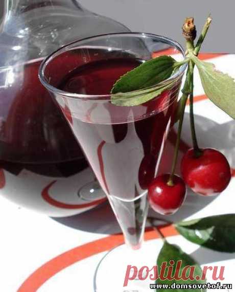 Как сделать домашнее вино. Вино из вишни