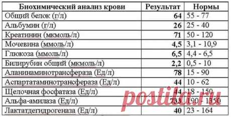 биохимический анализ крови расшифровка у взрослых норма в таблице — Яндекс: нашлось 7 млн результатов