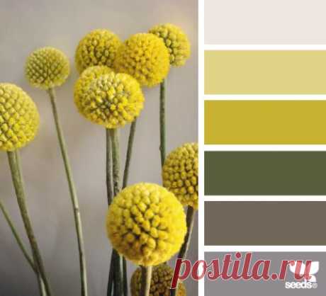 design seeds | flora tones | for all who ♥ color