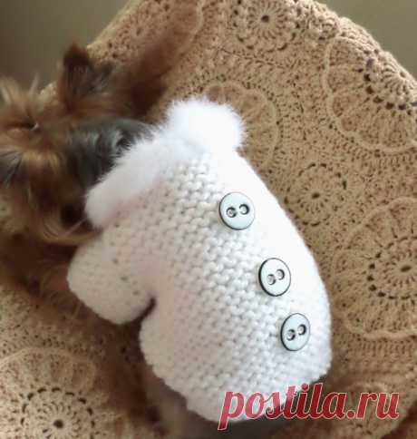 Large Medium Sweater Pet Sweater Costume от LyudmilaHandmade