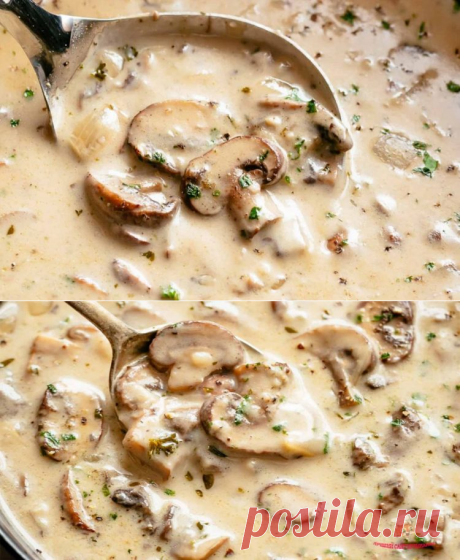 Грибной крем суп из шампиньонов - Лучший сайт кулинарии