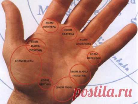 Что означают холмы на руке Таланты и способности человека к той или иной деятельности можно определить по холмам на руке. Для этого достаточно просто взглянуть на холмы ладони.     [...]