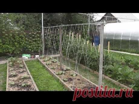 Шпалера для огурцов. Видео-урок.: Группа Практикум садовода и огородника