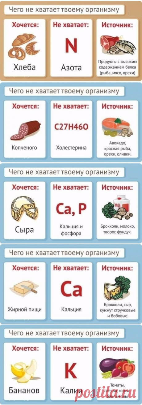 Учимся слушать свой организм: что делать, когда хочется вредной еды — Полезные советы