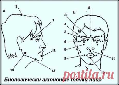 Биологически активные точки на голове — ваша скорая помощь! Обнаруживая болезненные точки, вы уделяете им особое внимание и устраняете в вашем организме те или иные неполадки, избегая часто очень неприятных последствий.