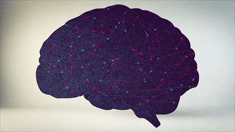 Как быстро натренировать свой мозг и улучшить память