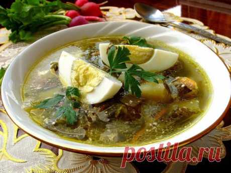 Украинский суп из щавля (Зелёный борщ)