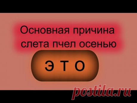 Основная причина осеннего слета пчел