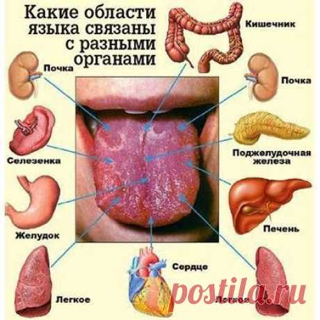 Язык — зеркало организма. - Советы от доктора - Женский Мир