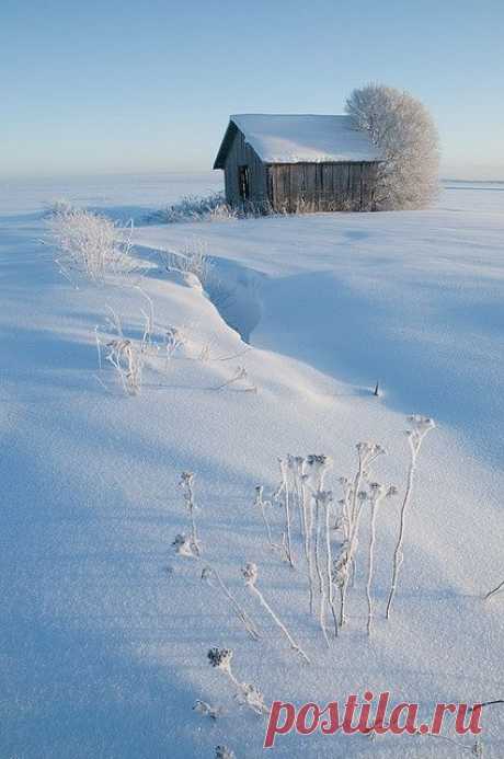 Country Winter | Fresh Farmhouse   |   Pinterest • Всемирный каталог идей