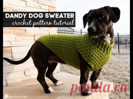 Dandy Dog Sweater Companion Video: Free Crochet Pattern