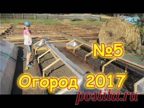 Семья Бровченко.  Огород 2017г. - мульча, грядки, горошек, клубника, полив и др. (05.17г.)