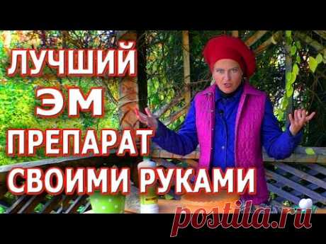 Супер ЭМ ПРЕПАРАТ своими руками! Ферментированные отруби! Лучшая подкормка!